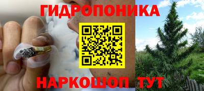 эйфоретик Гусь-Хрустальный