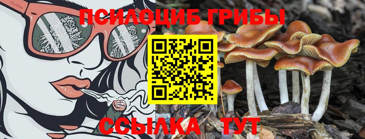 Екатеринбург  Галлюциногенные грибы Psilocybine cubensis  Галлюциногенные грибы мухоморы  Вход с VPN 