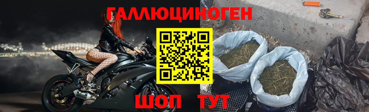Галлюциногенные грибы мицелий Екатеринбург
